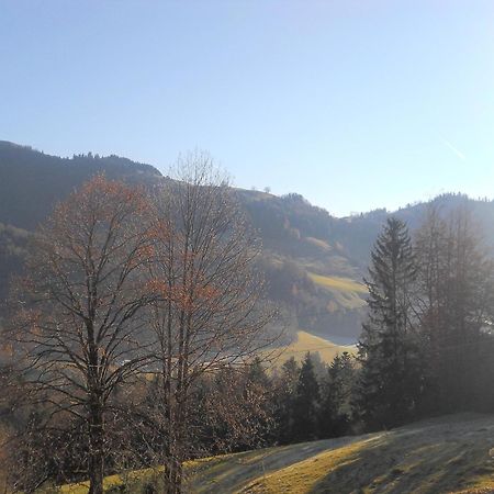 Chalet In Niederndorf Near Kufstein With Balcony Niederndorferberg Zewnętrze zdjęcie