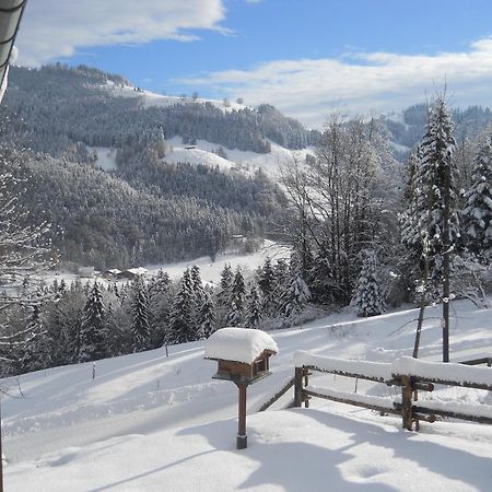 Chalet In Niederndorf Near Kufstein With Balcony Niederndorferberg Zewnętrze zdjęcie