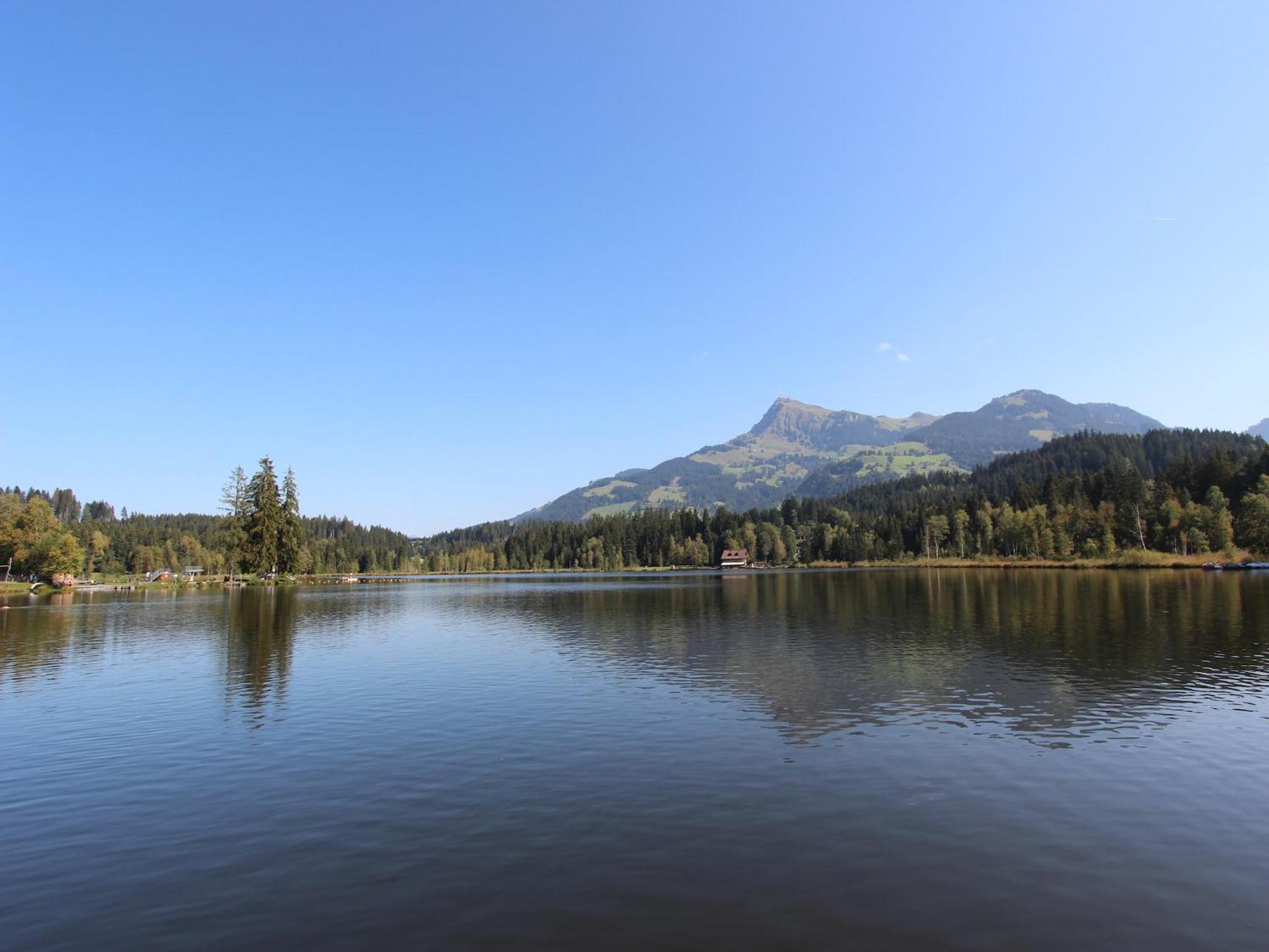 Chalet In Niederndorf Near Kufstein With Balcony Niederndorferberg Zewnętrze zdjęcie